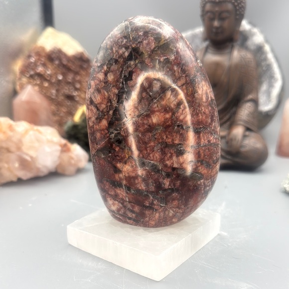 Rare Black Cherry Moonstone Polished Stone Decor BCA - Picture 1 of 6